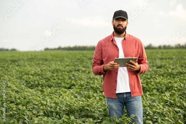 Fototapeta Young modern agronomist holding a tablet standing in a green soybean field, looking confidently at the camera, representing sustainable agriculture, crop monitoring, and precision farming