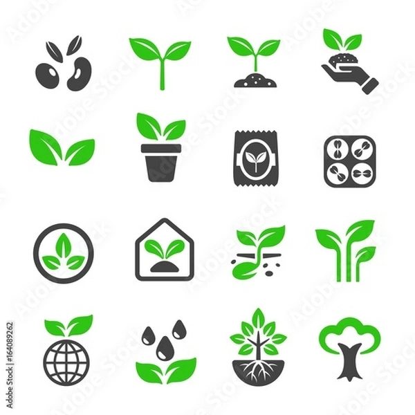 Obraz Ikona rośliny