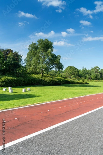 Fototapeta New pathway and beautiful trees track for running or walking and cycling relax in the park