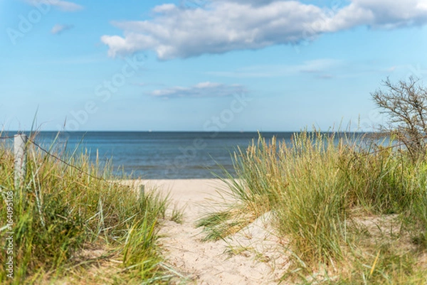 Fototapeta way to see