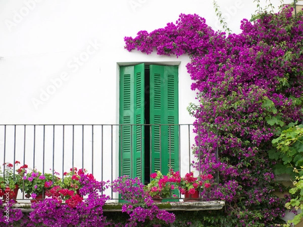 Fototapeta balcon con flores