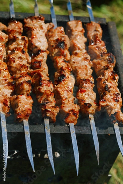 Fototapeta Shish kebab with  mix of spices on bbq