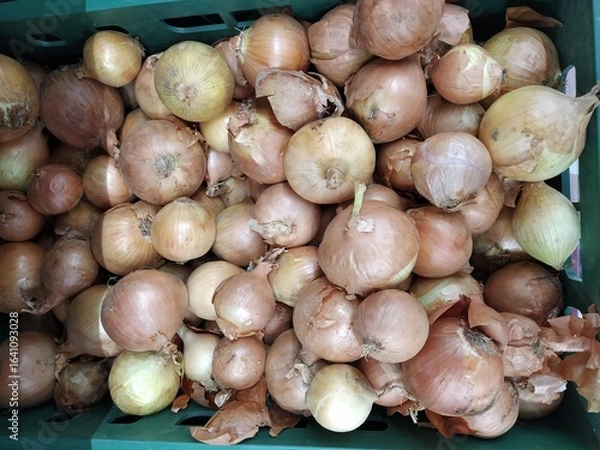 Fototapeta Box with onions, close-up background