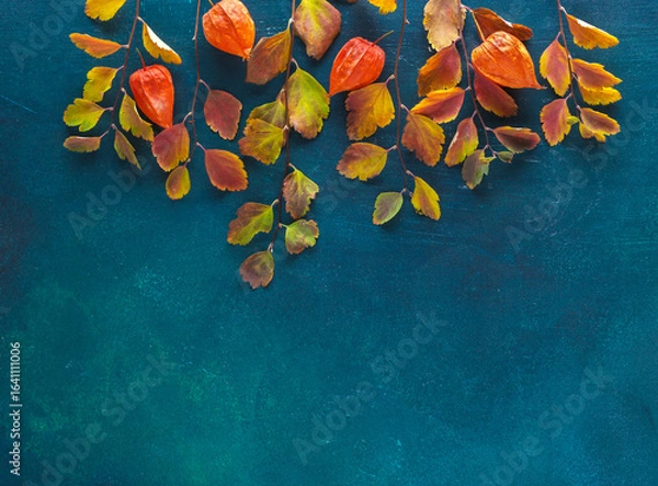 Fototapeta Branches with small colorful autumn leaves (Spiraea Vanhouttei)  and  fruit of  Physalis on  wooden  board painted blue-green color.  Flat lay.