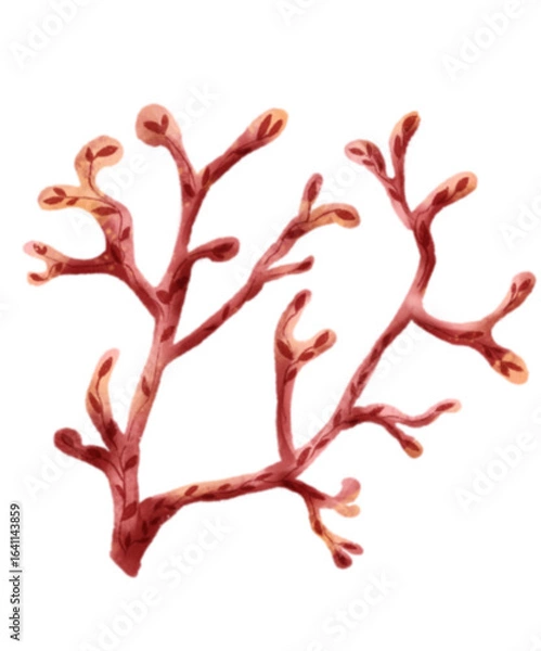 Obraz Summer coral illustration