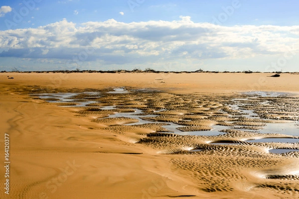 Obraz Gold dunes with small ponds