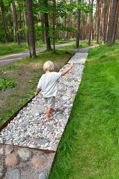 Fototapeta Barefoot boy walking on a sensory trail through a pine forest in Lithuania
