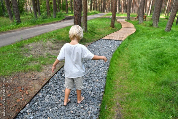 Fototapeta Barefoot boy walking on a sensory trail through a pine forest in Lithuania