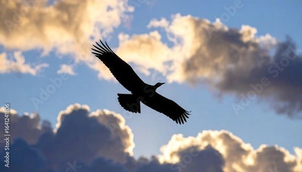 Obraz Bird in flight against clouds