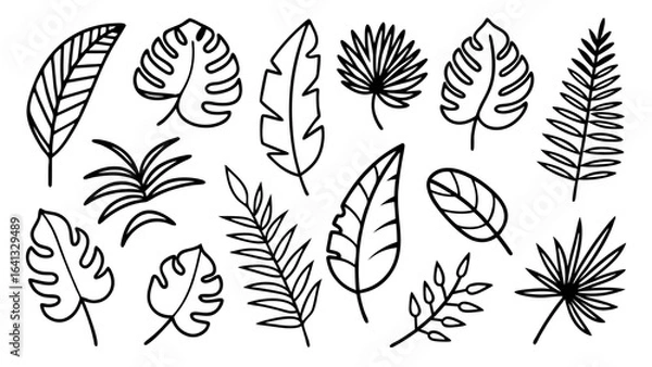 Fototapeta Tropical leaves line art bundle, Outline botanical vector icons including monstera, palm, banana, fern, palm fan silhouettes