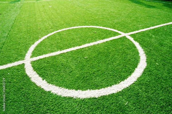 Obraz Centre line on soccer field