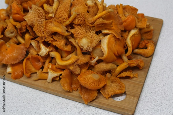 Fototapeta Raw wild chanterelle mushrooms. Fresh mushrooms lie in a pile on a cutting board. There is space for text.