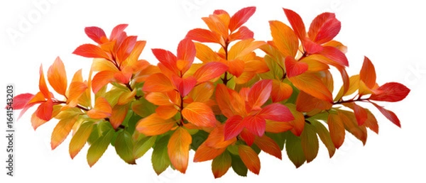 Fototapeta Colorful Autumn Leaves in Vibrant Orange and Red Tones Isolate on Transparent Background, cutout, png