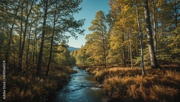 Obraz Klarer Fluss windet sich durch herbstlichen Wald mit bunten Bäumen unter blauem Himmel