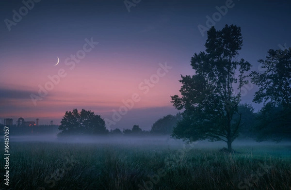 Obraz Fog - Stiller Abend