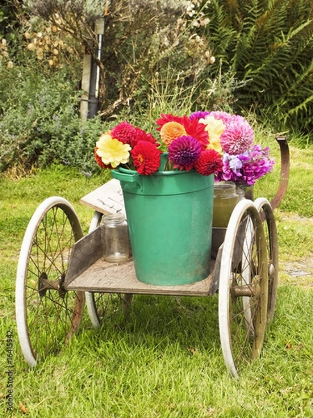 Obraz roadside flowers