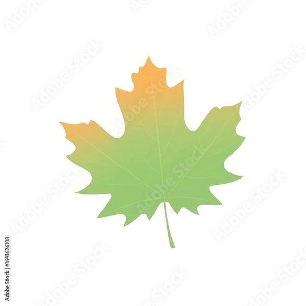 Obraz Maple leaf illustration maple art.