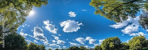 Fototapeta A Sunny Day's Sky Viewed from Below Lush Green Trees