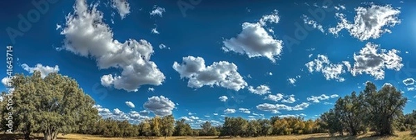 Fototapeta A panoramic view of a sunny autumn landscape with puffy white clouds and green trees