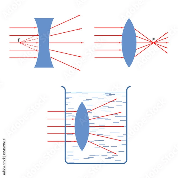 Fototapeta Throw in a collecting rays diverging lens