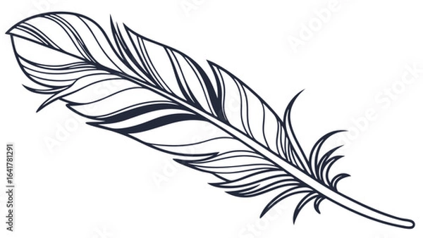 Obraz feather vector illustration