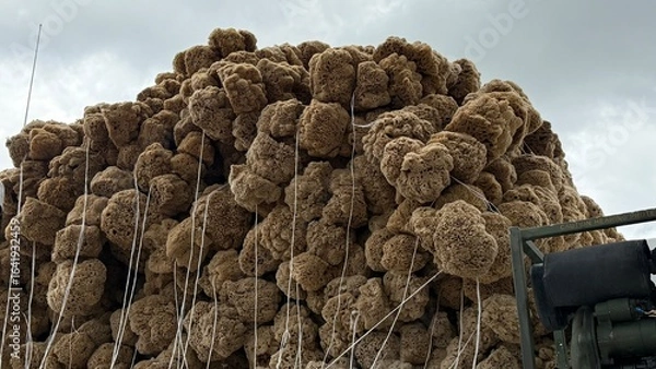 Obraz Sponge Docks in Tarpon Springs Florida