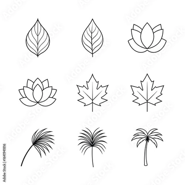 Fototapeta Set of plant and leaf line icons Batch_7