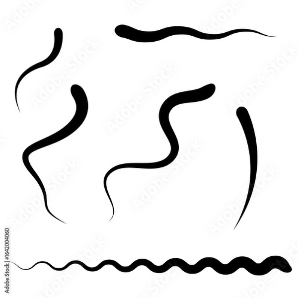 Obraz Worms and snakes, spermatozoa, whatever you call them. And just wavy lines. Flat vector illustration isolated on white background.