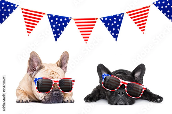 Obraz independence day 4th of july dog