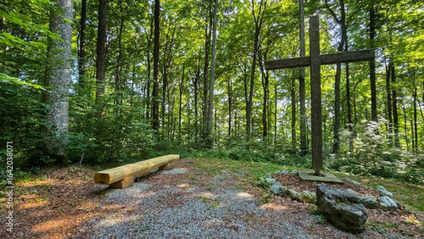 Obraz Place to give respect to the dead in the forest cemetery Friedwald in Germany.