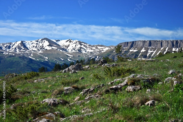 Obraz The National Park