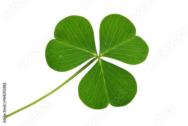 Obraz Green three leaf clover isolated on transparent background