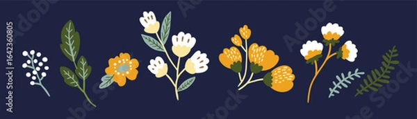 Fototapeta Set of hand drawn floral and botanical elements on a dark background. Vector illustration for design, flat style.