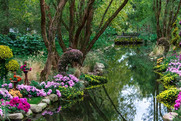 Obraz flowers in the garden
