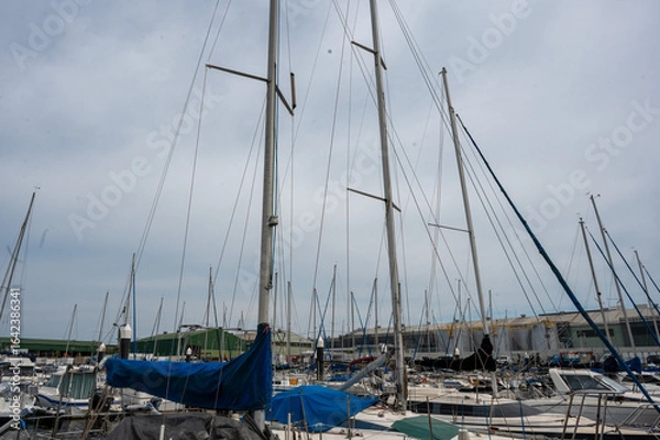 Obraz ヨットハーバーに並ぶヨット