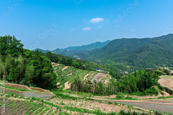 Obraz vineyard in the mountains