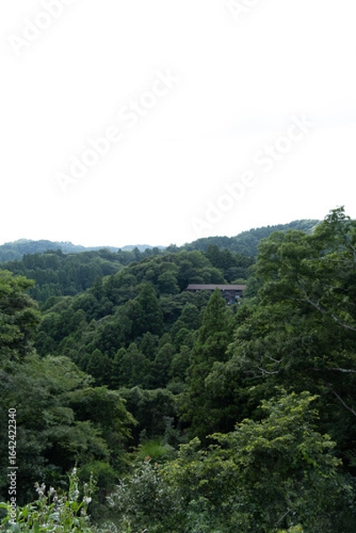 Fototapeta 森の中にある大きなコテージ
