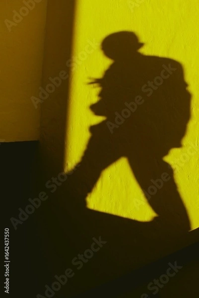 Obraz mysterious shadow