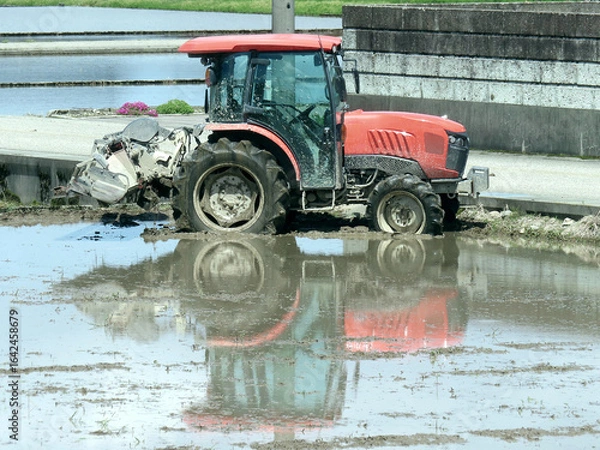 Fototapeta トラクター