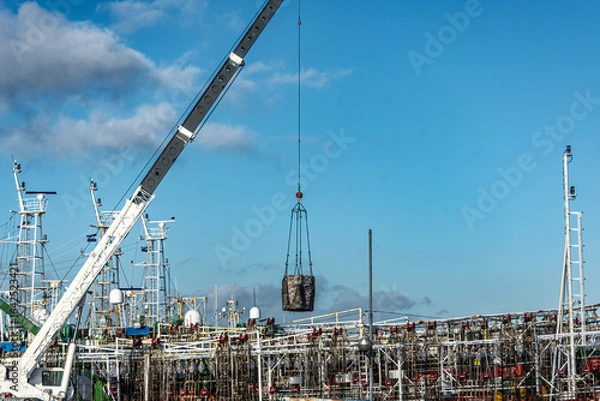 Fototapeta Crane unloading squid boxes at Mar del Plata fishing port