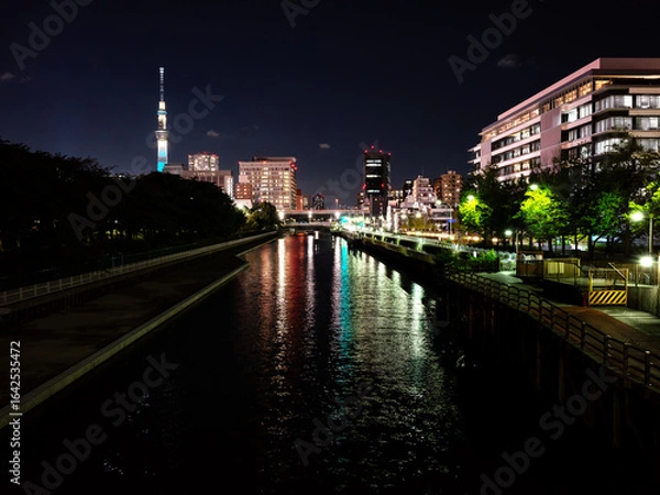 Fototapeta 横十間川の夜景