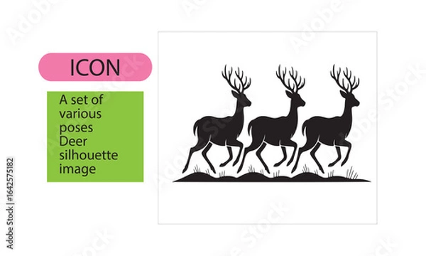 Fototapeta A set of deer image