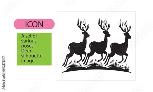 Fototapeta A set of deer image