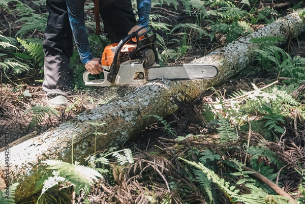 Fototapeta チェンソー