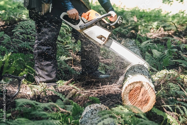 Fototapeta チェンソー