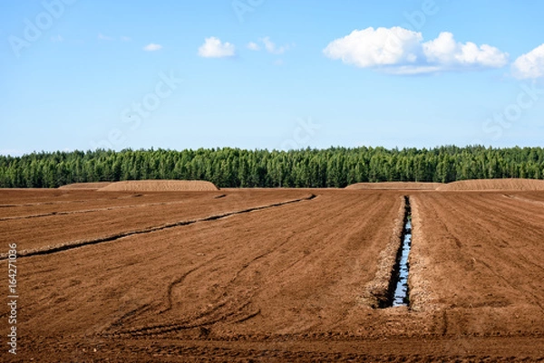 Fototapeta bog and the field on which the production is carried out in black peat mining