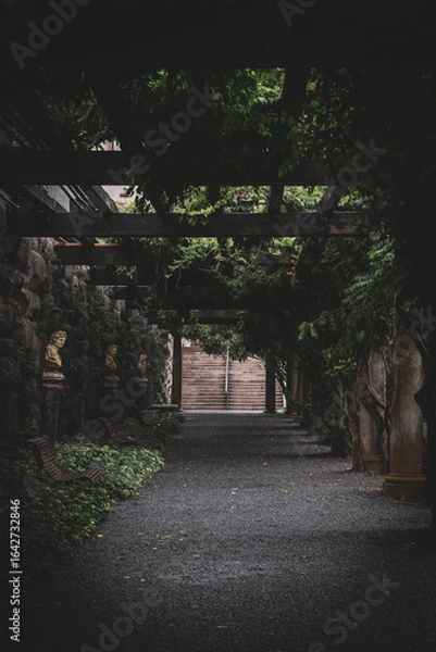 Obraz mysterious pathway