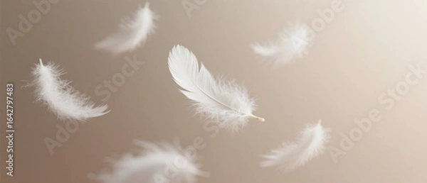 Fototapeta White feathers around down floating dreamy background