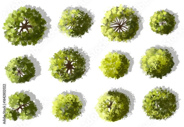 Fototapeta Vector watercolor green tree or forest top view isolated on white background for landscape plan and architecture drawing,plant for environment or garden,botanical element for exterior layout