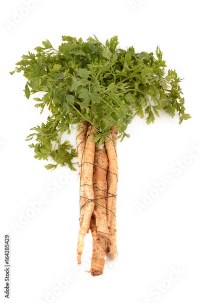 Fototapeta Parsley on a white background
